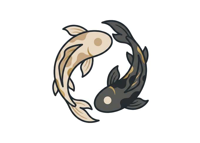 Yin Yang Koi Fish Illustration
