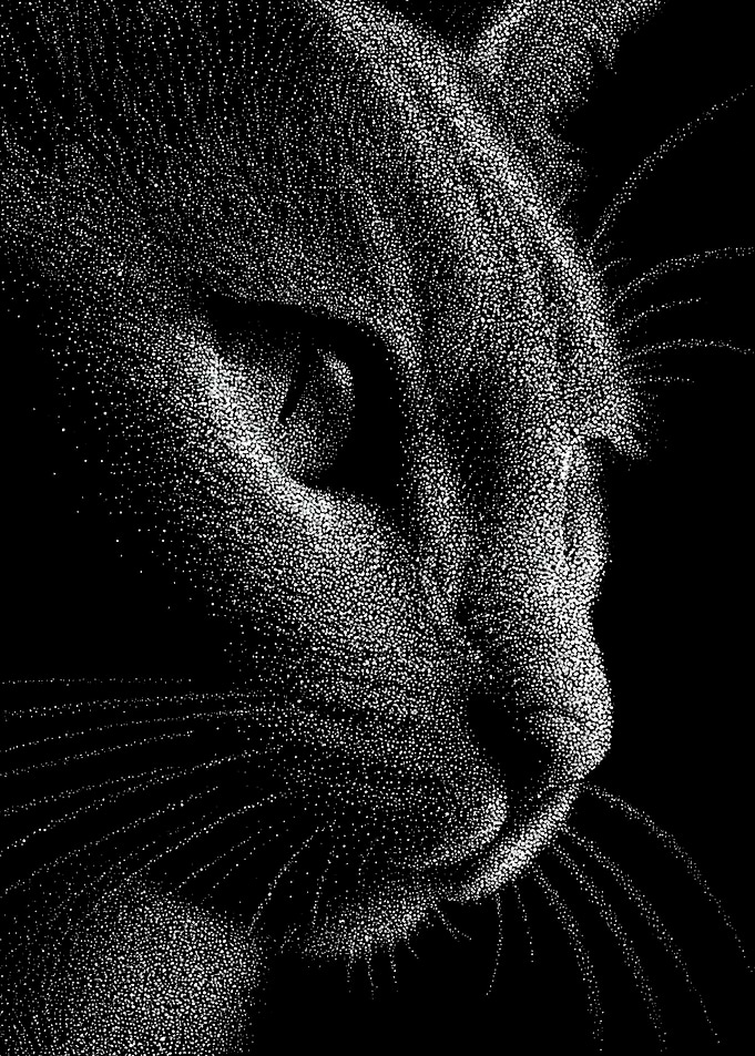 Dramatic Monochrome Cat Profile In Stipple Dotwork
