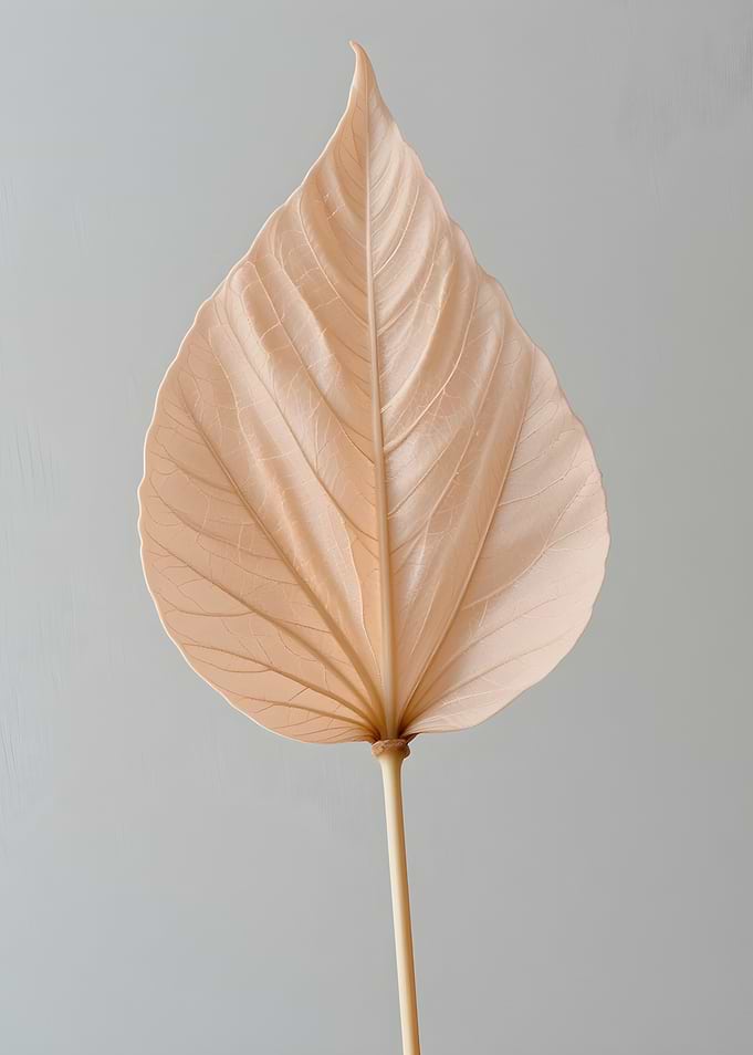 Minimalist Beige Leaf on Grey Background