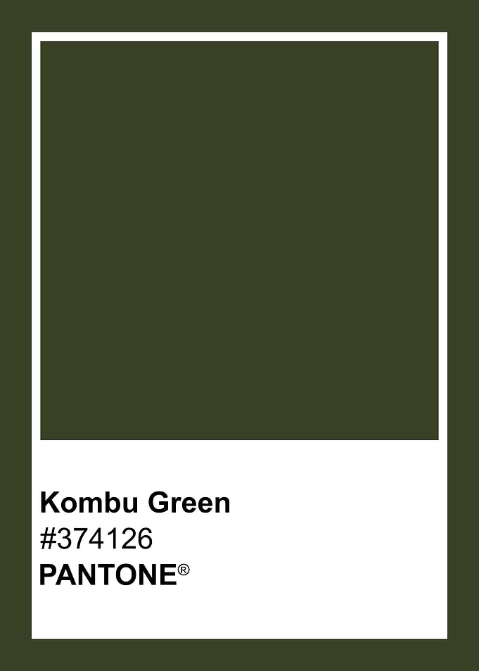 Pantone Kombu Green Color Swatch