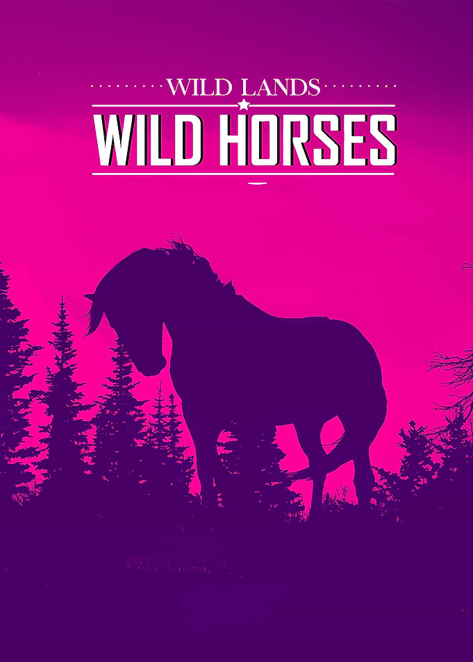Wild Lands Wild Horses Poster