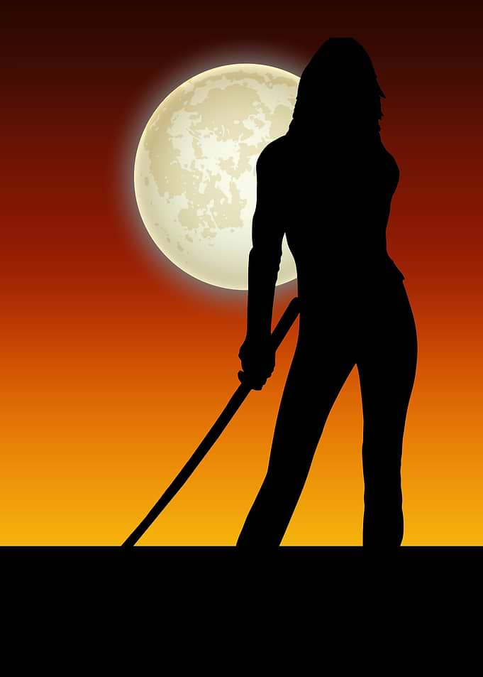 Silhouette of a Warrior with Sword