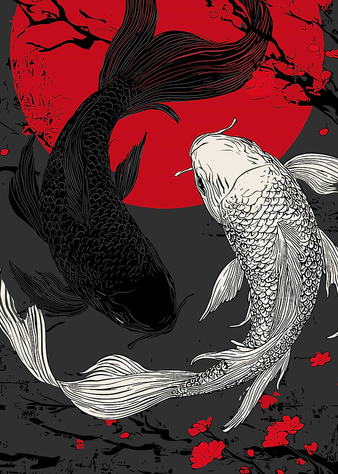 Yin Yang Koi Fish Illustration