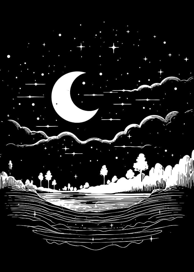 Black and White Night Landscape