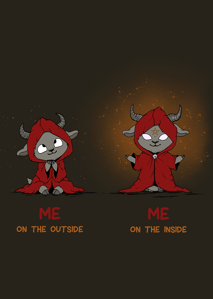 Me on the Outside vs Inside