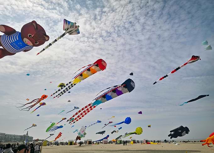 Colorful Kite Festival on the Beach