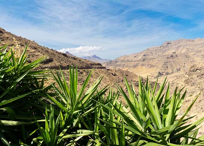 Gran Canaria Mountain Landscape