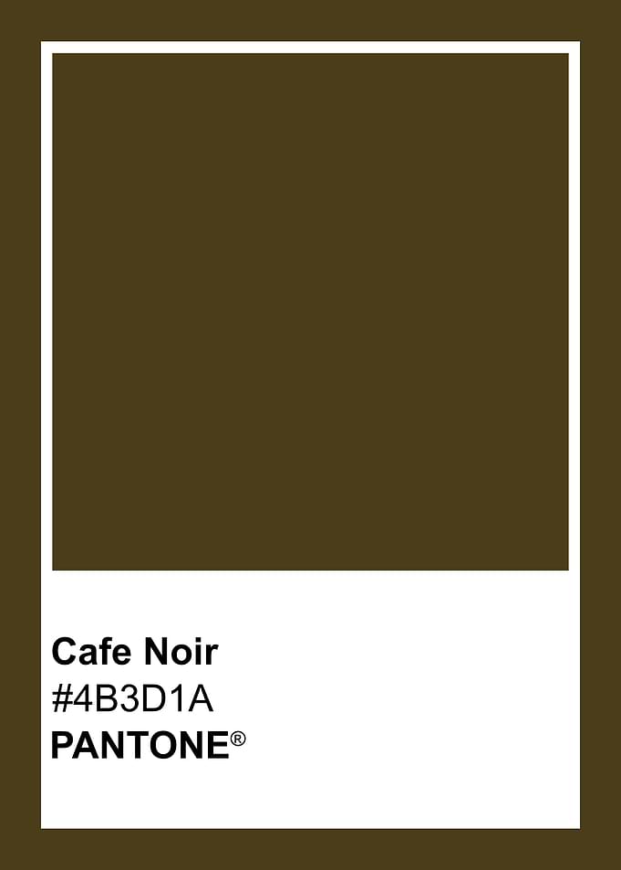Cafe Noir Pantone Color Swatch