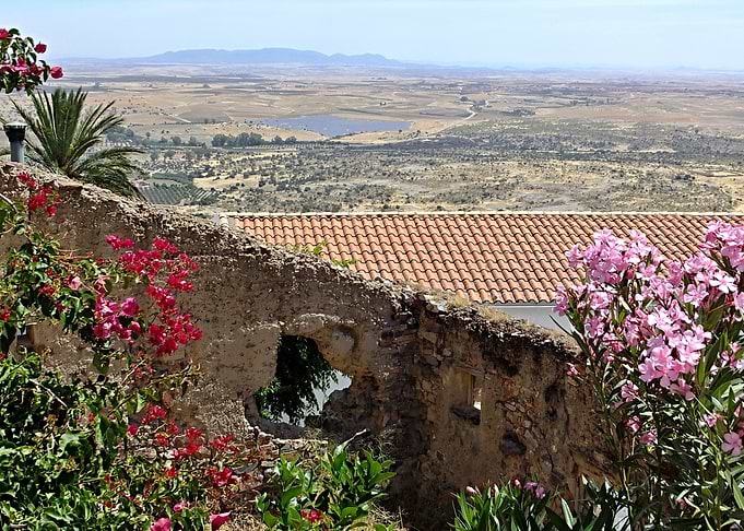 Extremadura Landscape with Ruins and Flowers