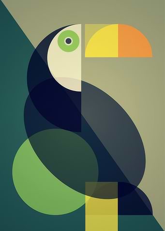 Geometric Toucan Minimalist Art
