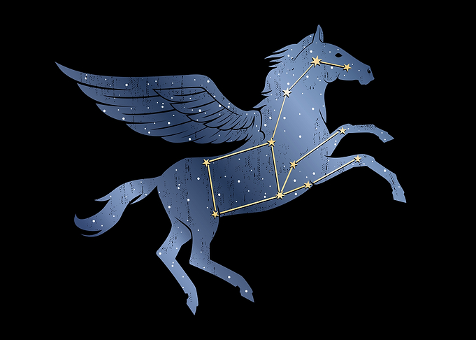 Pegasus Constellation Graphic