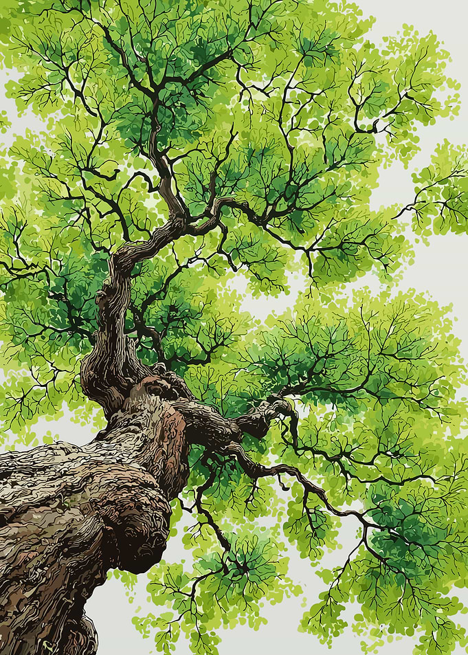 Low Angle View of Ancient Tree