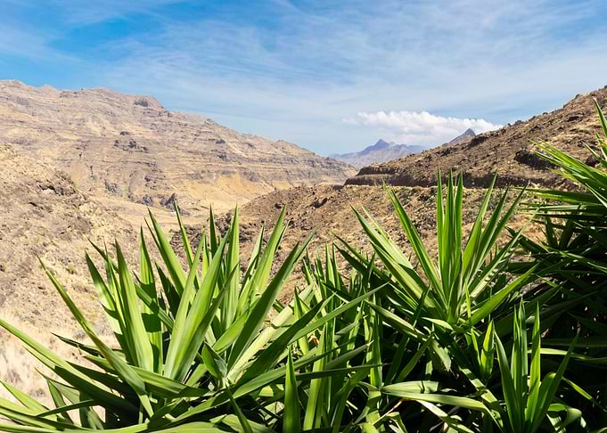 Mountain Landscape of Gran Canaria
