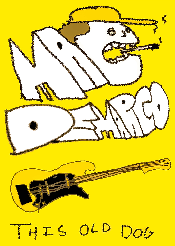 Mac DeMarco This Old Dog Poster