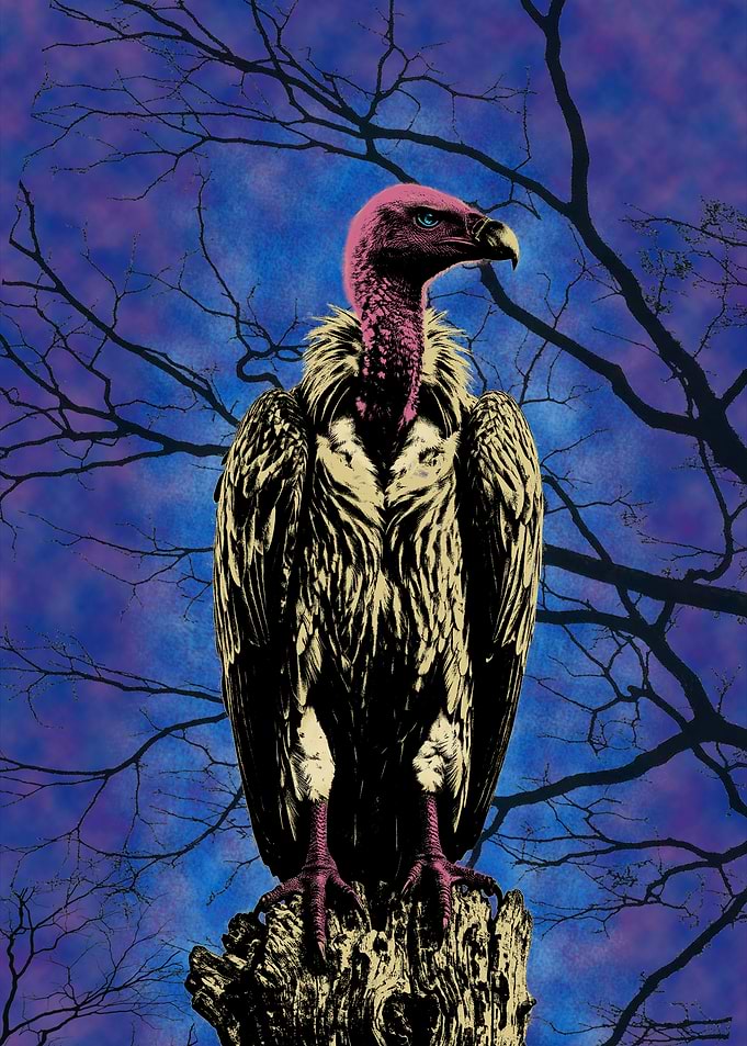 Vulture with Purple Sky Dark Nature Artwork