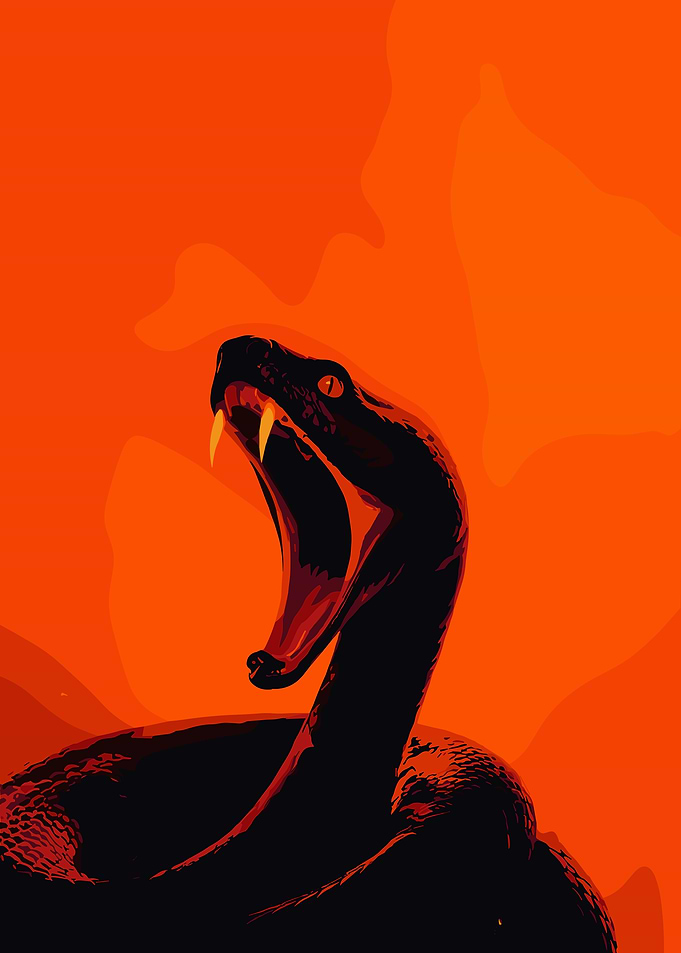 Aggressive Black Snake on Orange Background
