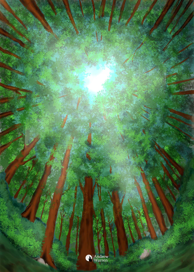 Memories Under the Forest