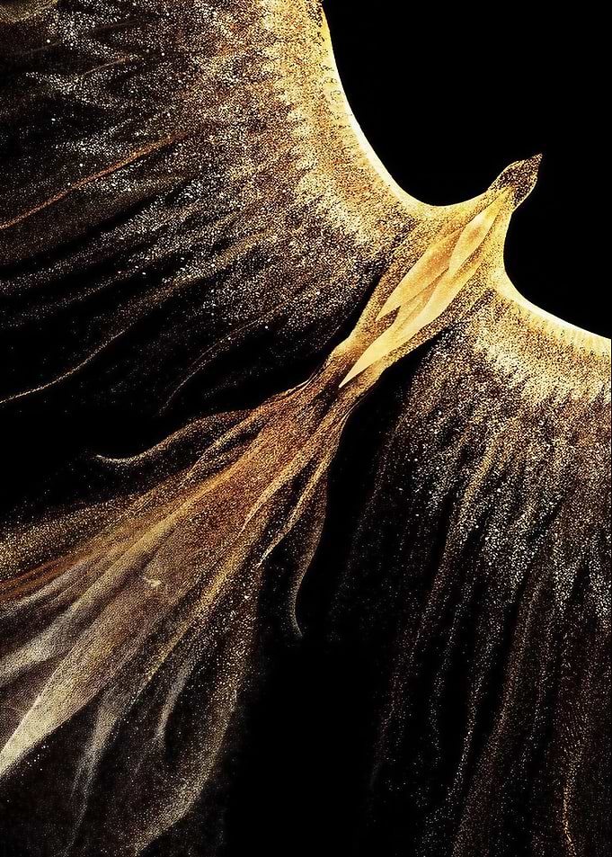 Golden Phoenix Rising in Darkness