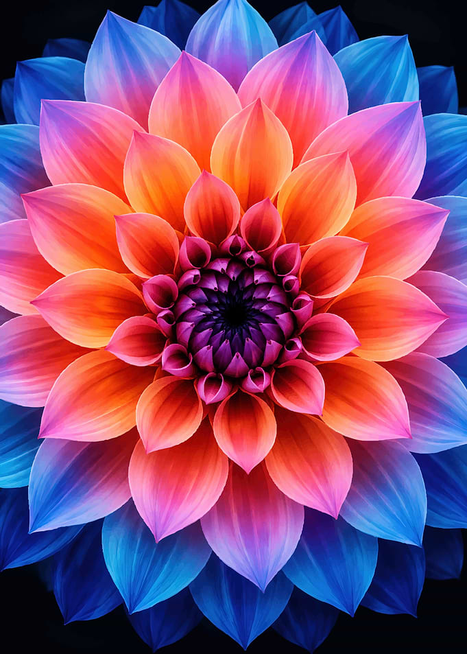 Vibrant Multicolored Dahlia Flower