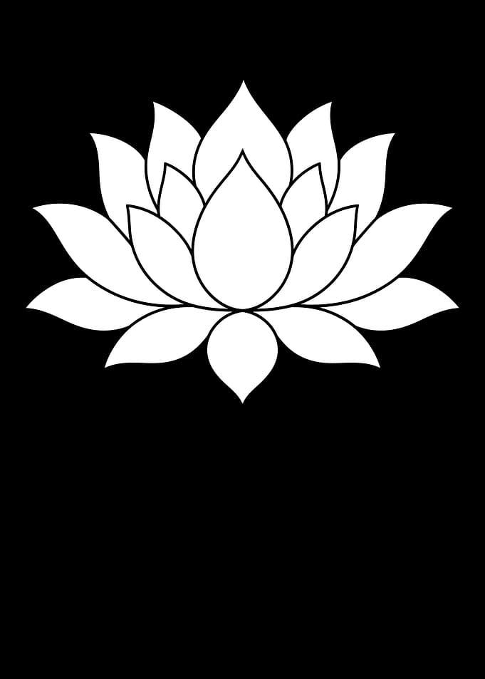 Minimalist White Lotus Flower Icon