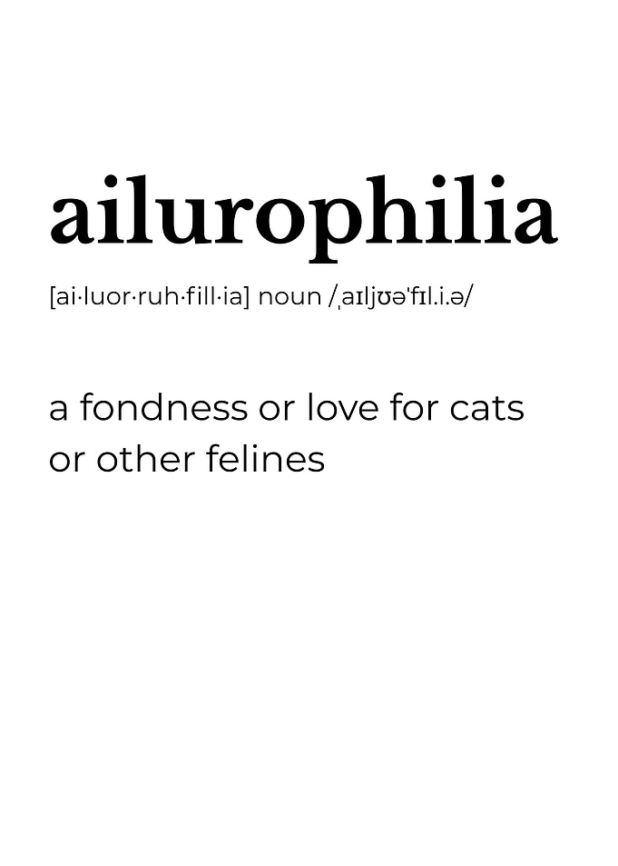 Ailurophilia Definition Minimalist Poster