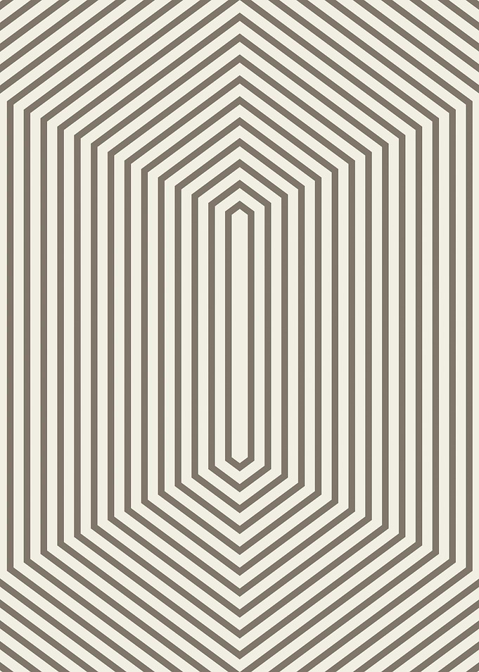 Minimalist Geometric Hexagonal Line Pattern