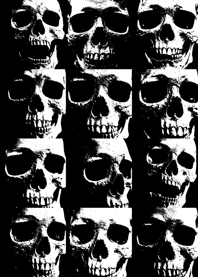 Grid of High-Contrast Human Skulls