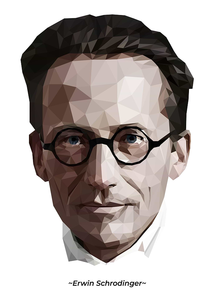 Low Poly Portrait of Erwin Schrodinger