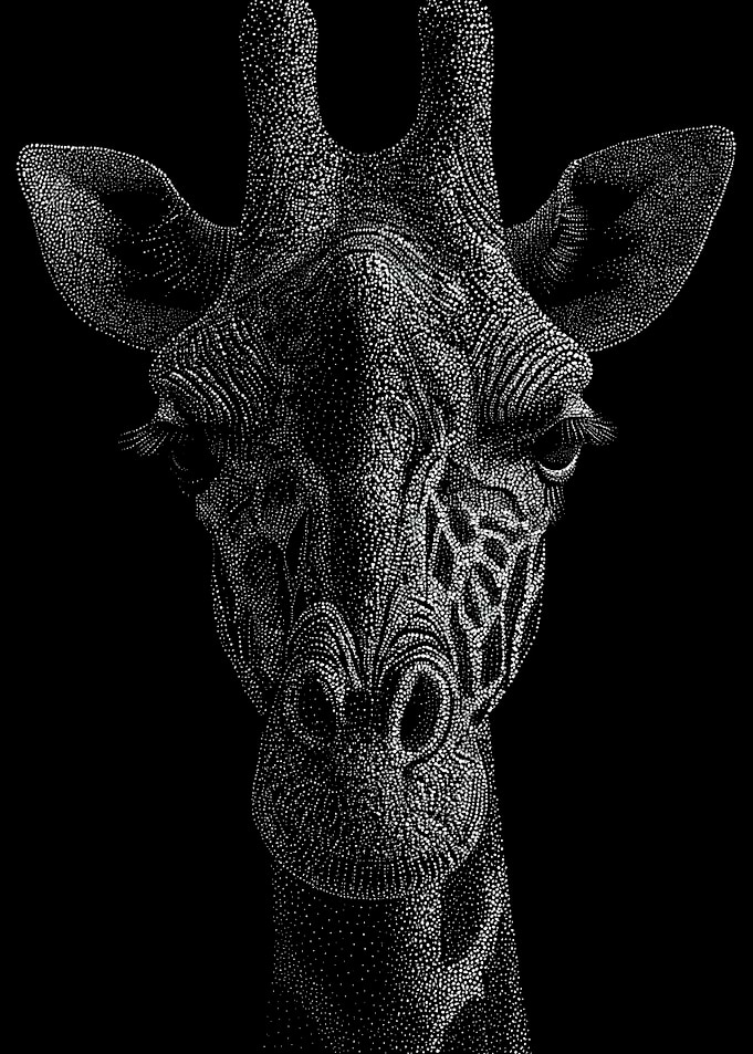 Elegant Monochrome Giraffe Portrait In Stipple Dotwork