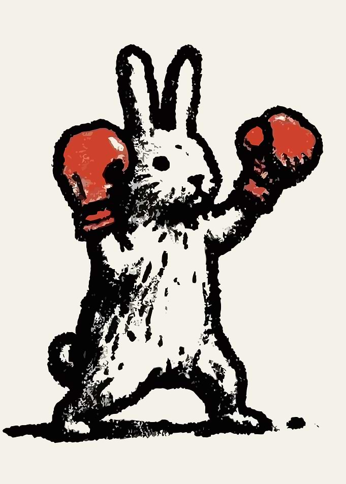 Boxing Rabbit Illustration