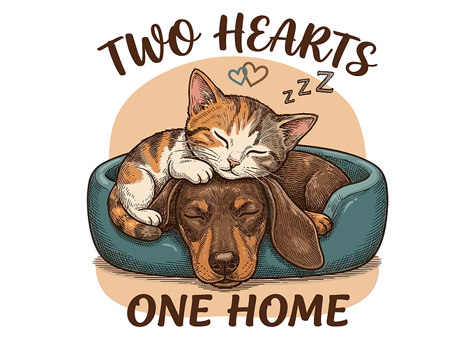 Sleeping Kitten and Dachshund Illustration