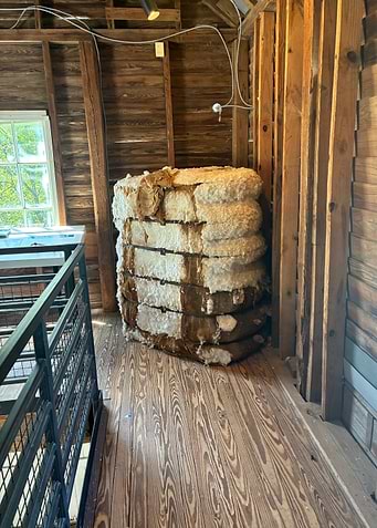 Latest drop