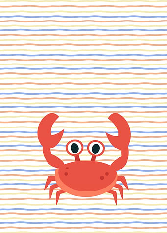 Cute Red Crab Illustration