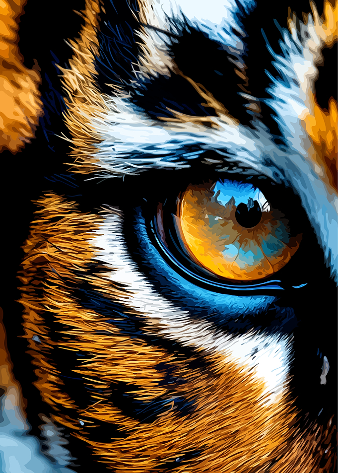 Intense Tiger Eye Close-up