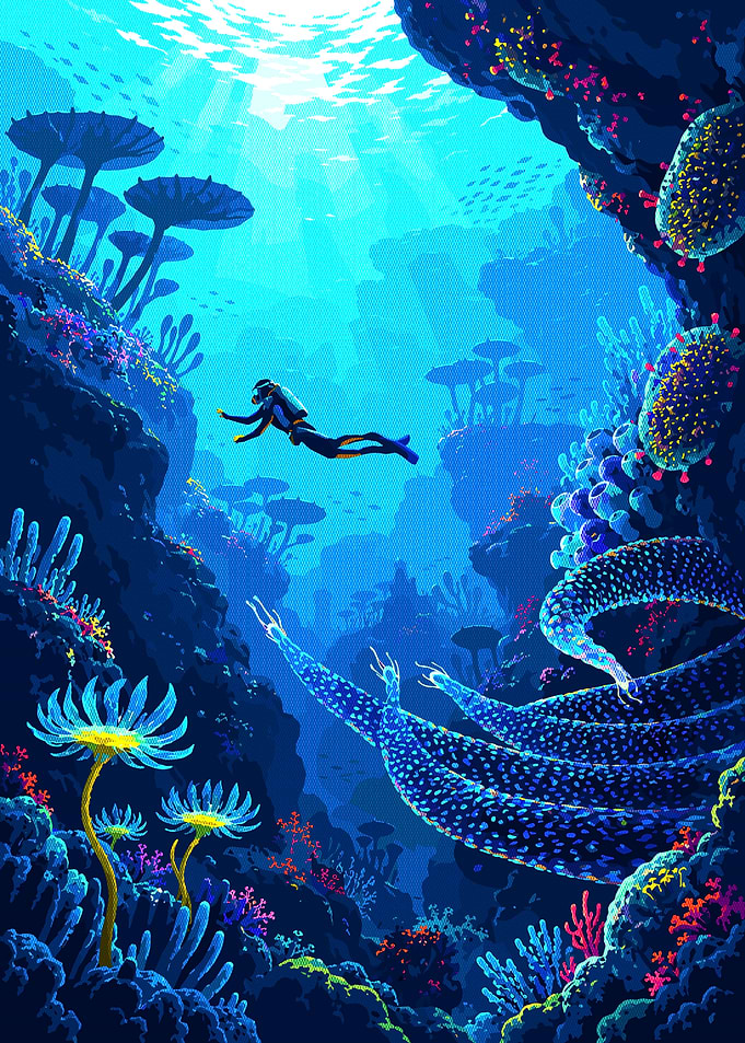 Scuba Diver Exploring Vibrant Coral Reef