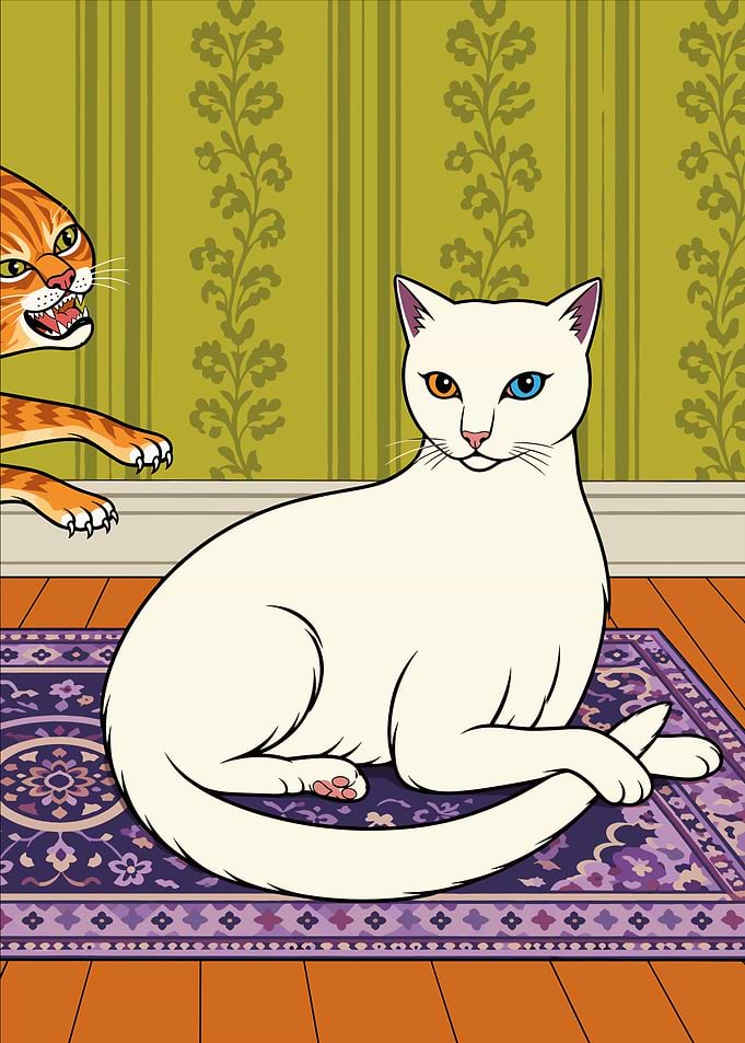Heterochromia White Cat and Orange Tabby