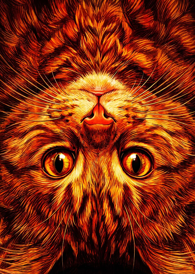 Upside Down Ginger Cat Portrait