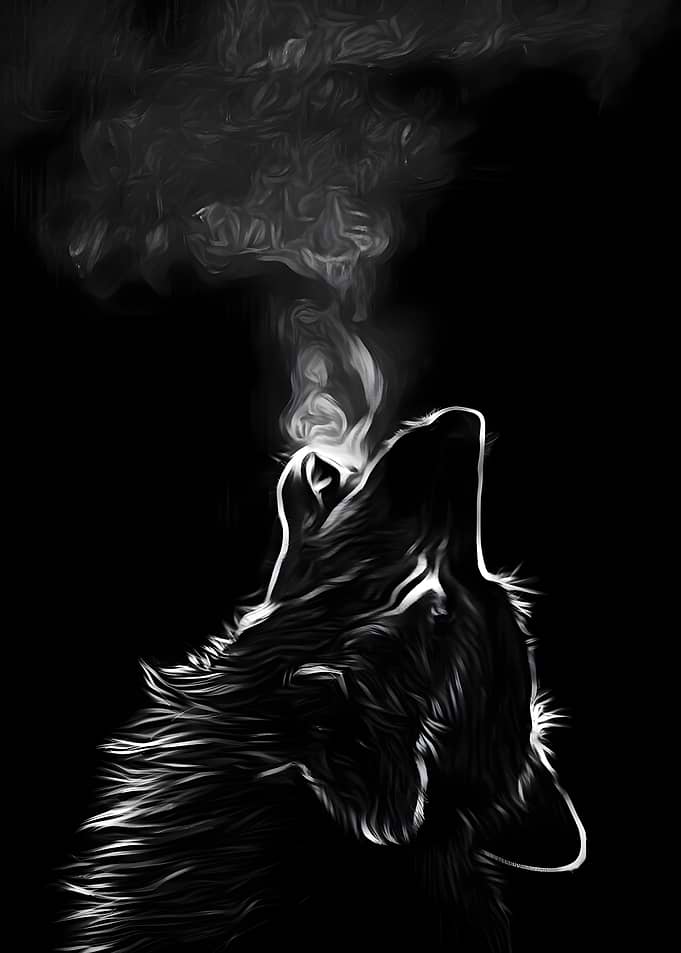 Howling Wolf Silhouette