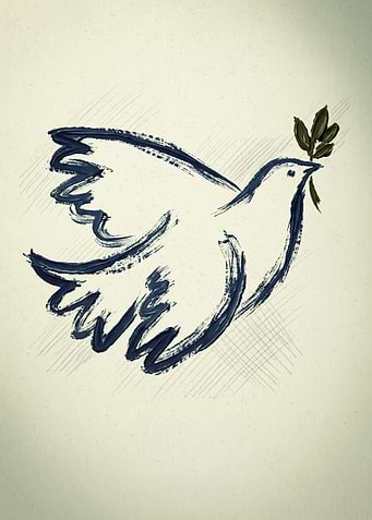 Dove Of Peace Bird Nature Pencil Sketch