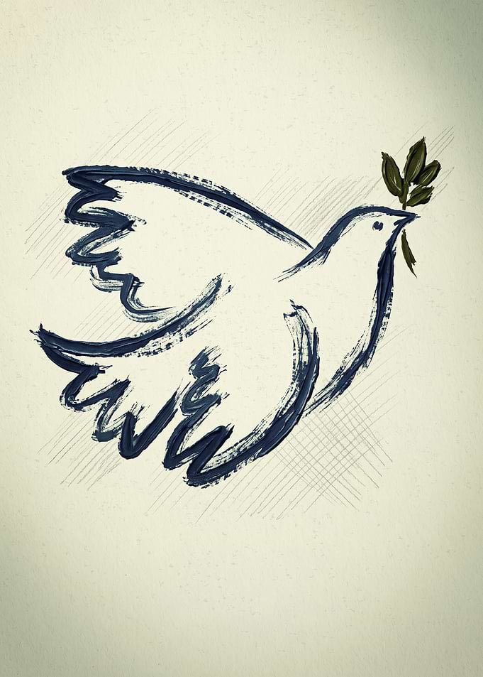 Dove Of Peace Bird Nature Pencil Sketch