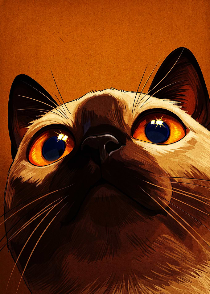Close-up Portrait of a Siamese Cat