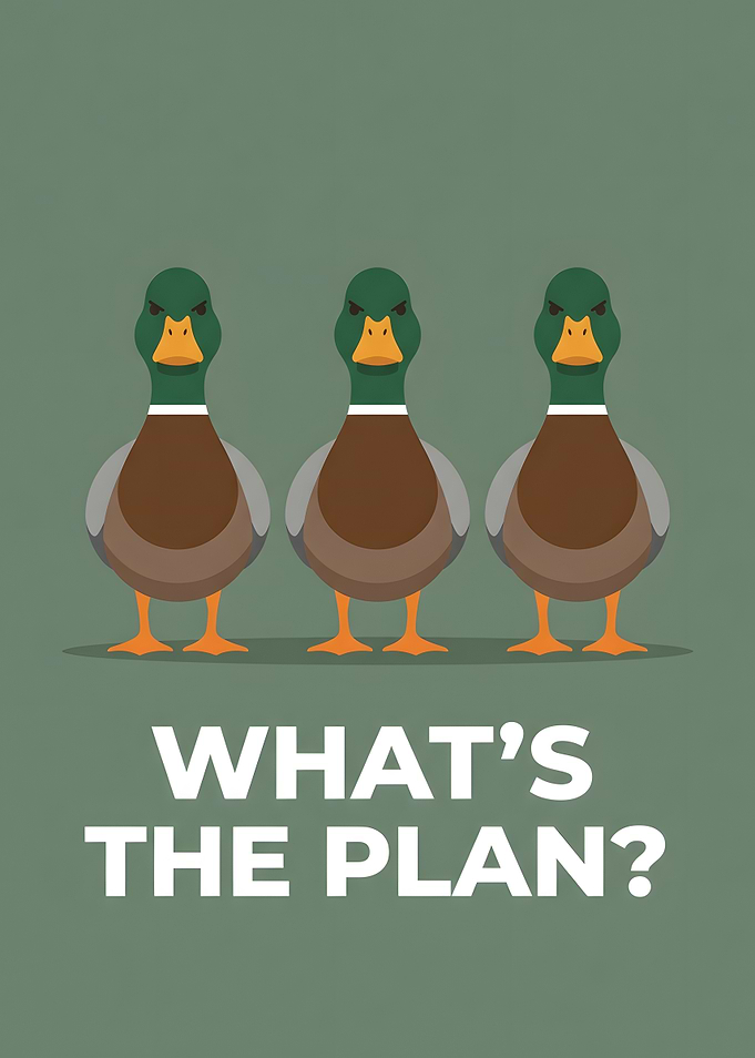 What's The Plan Funny Duck Poster