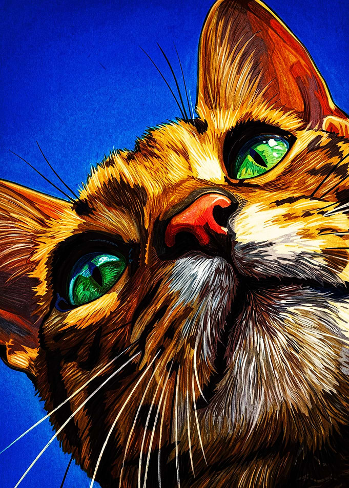 Vibrant Close-up Portrait of a Cat