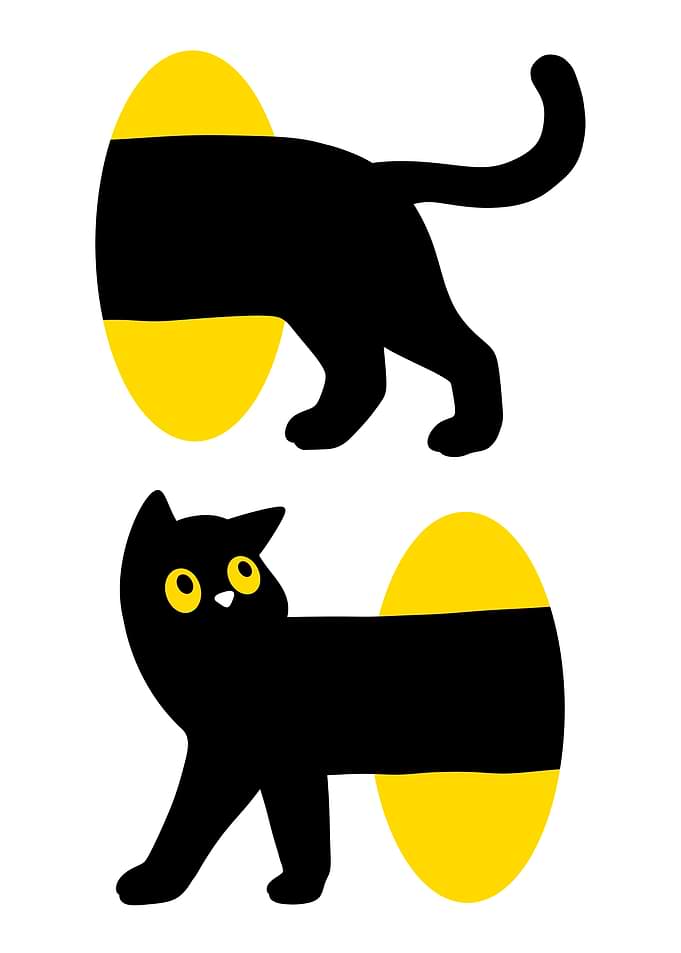 Portal Black Cat Minimalist Illustration