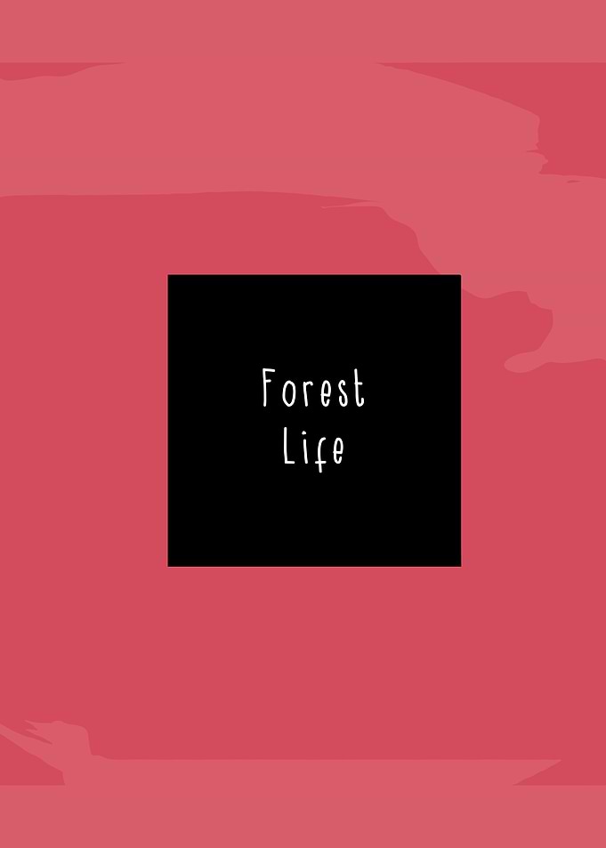 mccafferty forest life