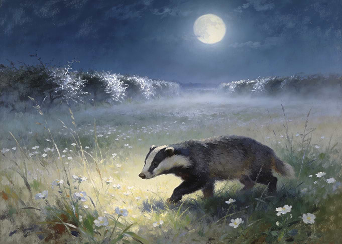 Badger walking in moonlit meadow