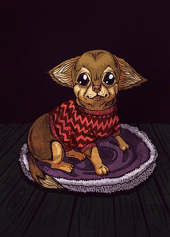 Cute Chihuahua in Red Sweater