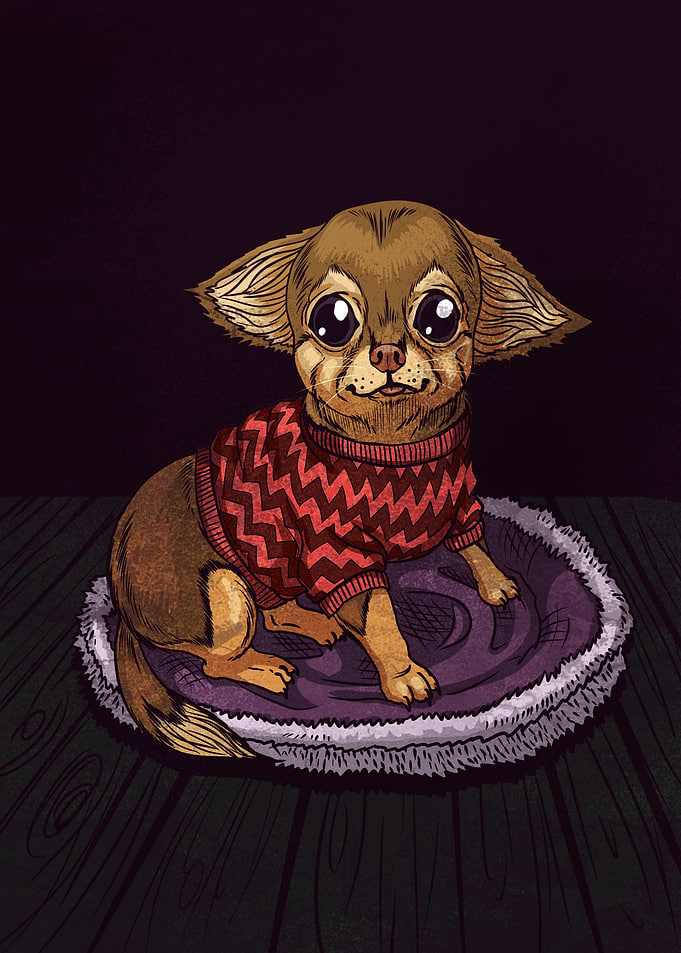 Cute Chihuahua in Red Sweater