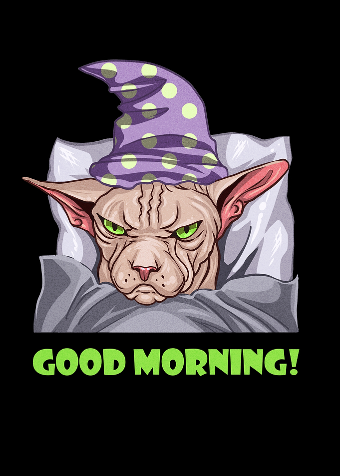 Grumpy Sphynx Cat Good Morning