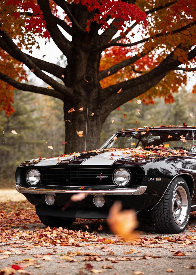 Classic Black Muscle Car in Autumn
